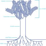 yard-tree-img