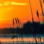 Lake Dallas TX