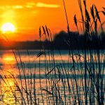 Lake Dallas TX