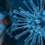 coronavirus and mosquitoes