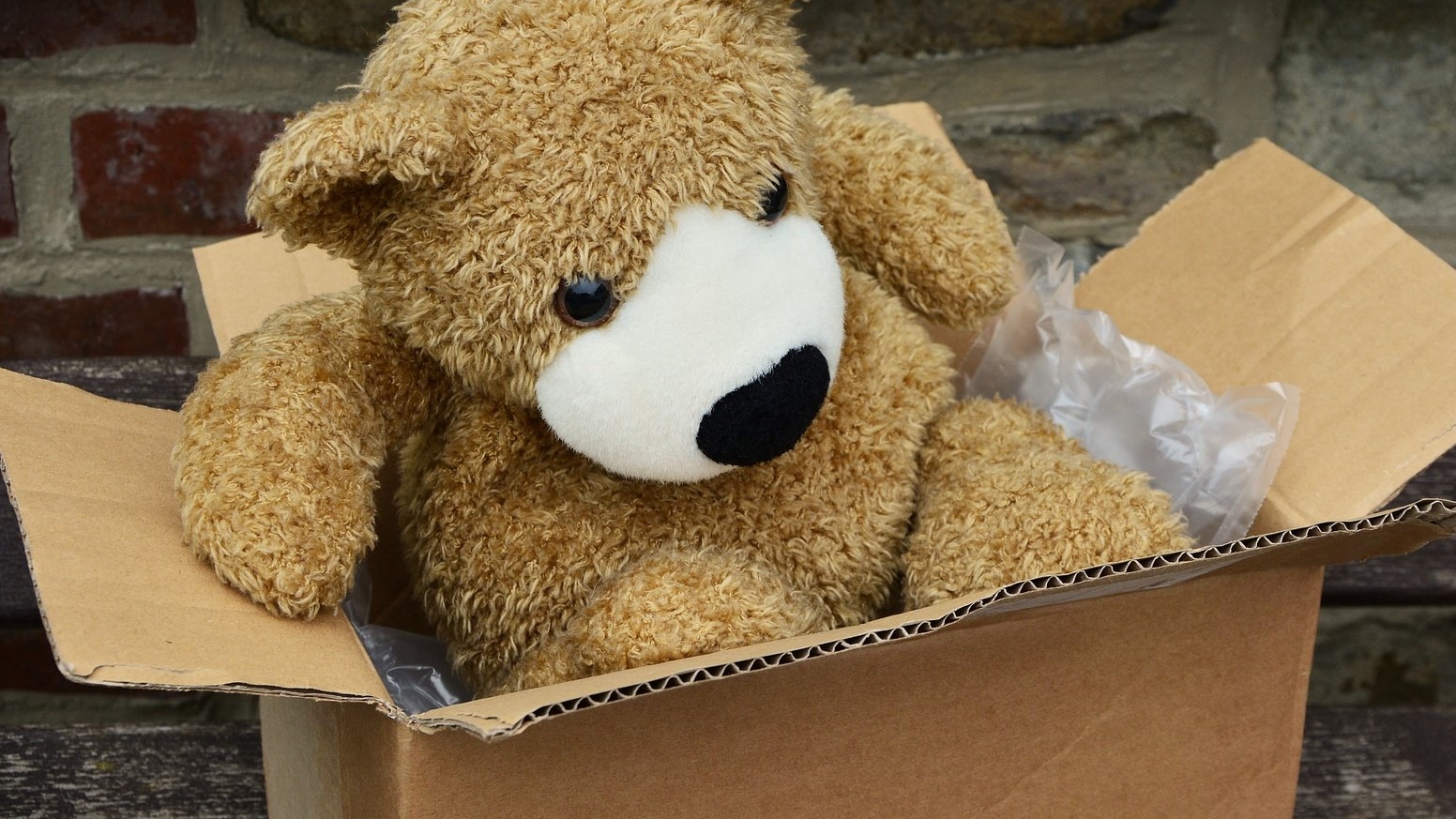 https://ecosafepest.com/wp-content/uploads/2020/04/cardboard-box.jpg
