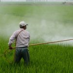 herbicide-587589_1920