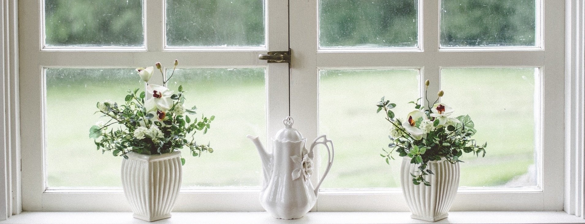 https://ecosafepest.com/wp-content/uploads/2020/08/Dallas-pest-control-windows-.jpg