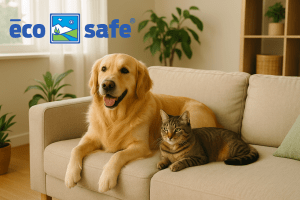 Golden retriever and tabby cat relaxing on a couch in a pet-safe Dallas home treated with organic pest control Dallas