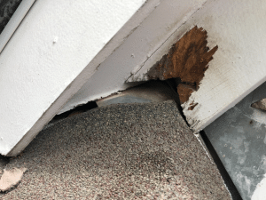 Rodent damage on a soffit in a DFW home